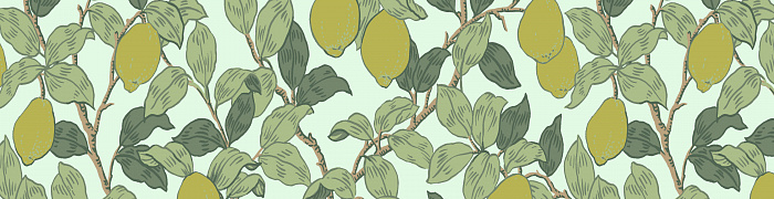 Citron QTR3 006