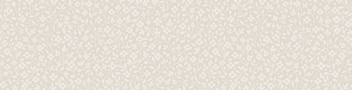 Ice 4  001