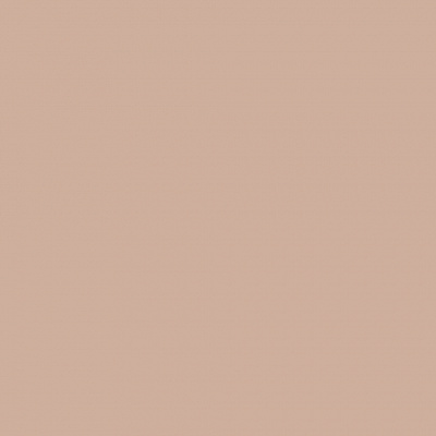 Oбои Plain AM9 004/2