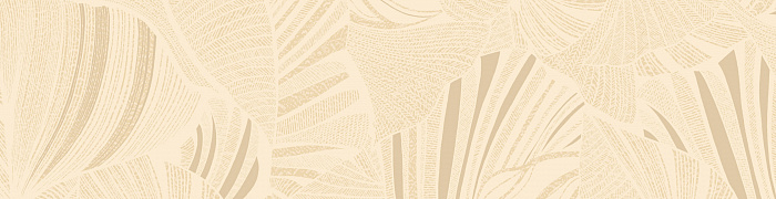 Monstera Ins5 002