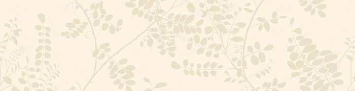 NP3  002