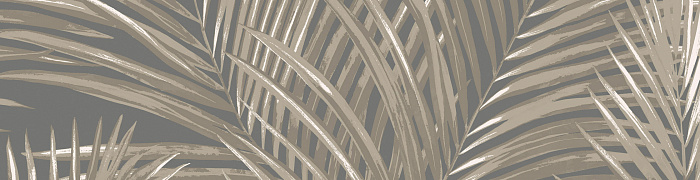 Palm Ins3 008/2