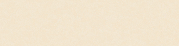 NP11  002