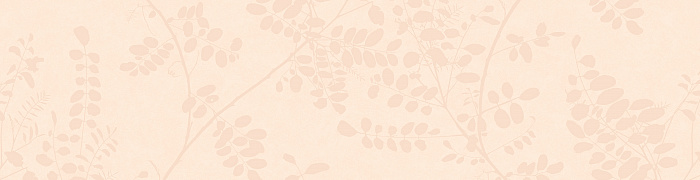 NP3  003