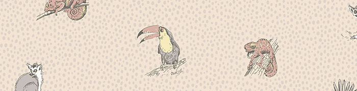 Madagascar D9 002