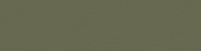 Brit31  015/1