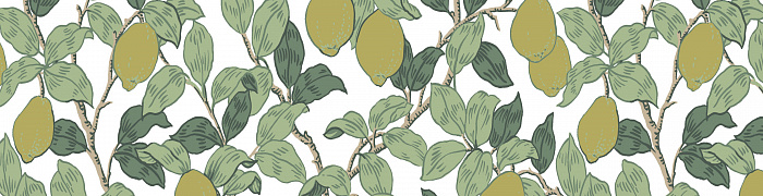 Citron QTR3 002
