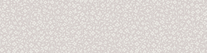Ice 4  001/1