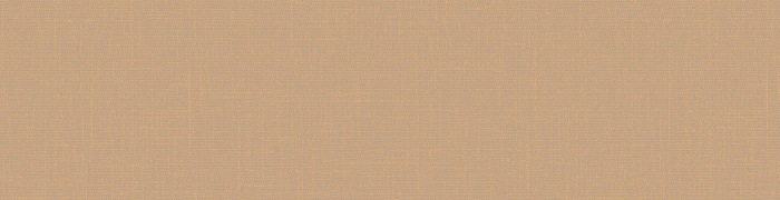BST4  004