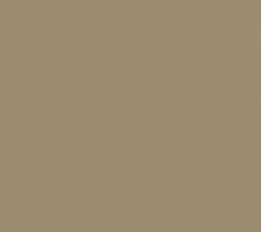 обои Plain AM4 005/2 - 0