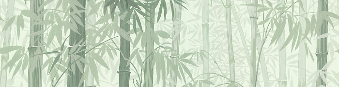 ART6  005/1