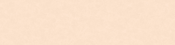 NP11  003