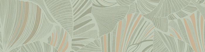 Monstera Ins5 006
