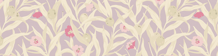 Willow-herb Als3 007