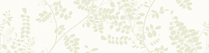 NP3  005