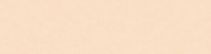 NP11  004