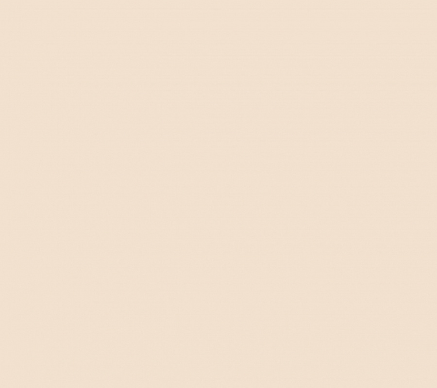 обои Plain AM4 002/1 - 0
