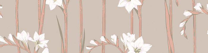 Gladiolus Als2 012