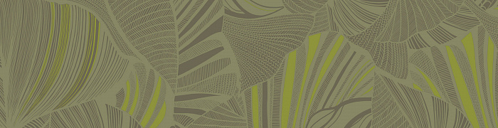 Monstera Ins5 005/1
