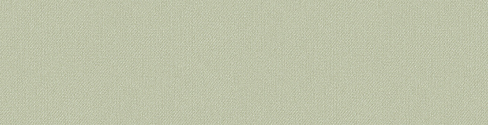 Хлопковый твил DK5 005