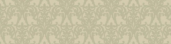 Brocade NK2 005