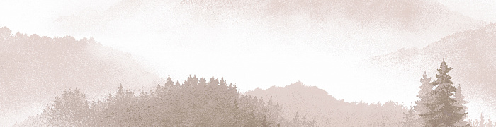 ART7  003