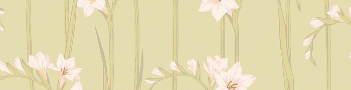 Gladiolus Als2 005