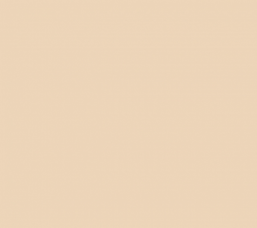 обои Plain AM4 002/2 - 0