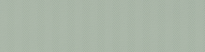 Textured Stripes WB STR4 001