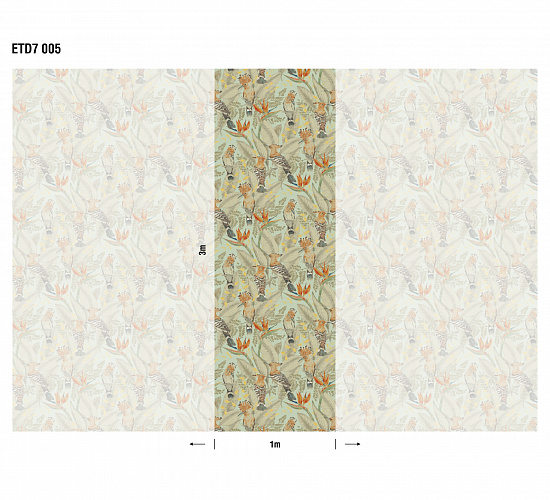 Hoopoe ETD7 005
