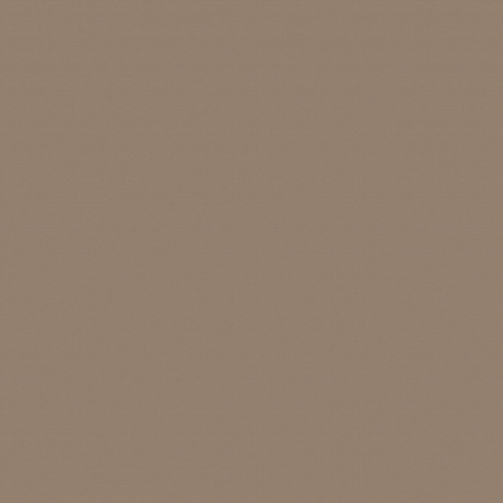 Plain AM4 005/5