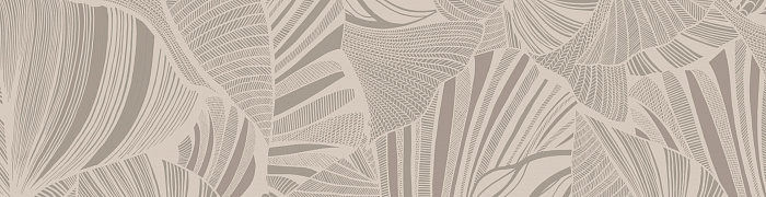 Monstera Ins5 002/2
