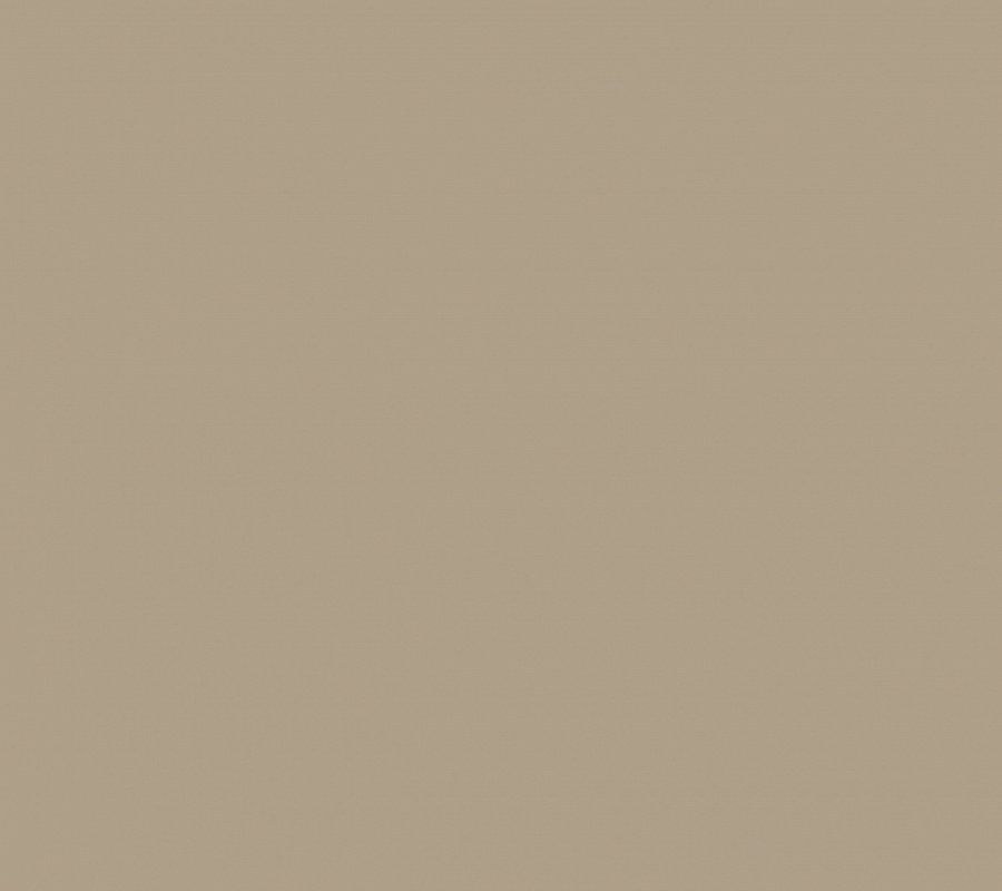 обои Plain AM4 002/5 - 0