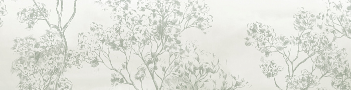 NP14C  005/1
