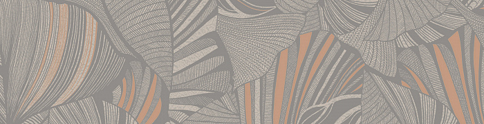 Monstera Ins5 008