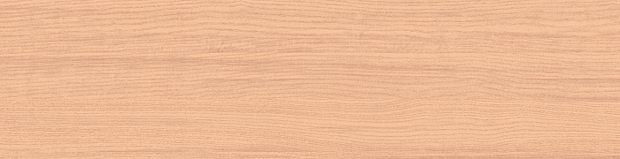 Veneer TER2 003/1