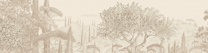BST18  002