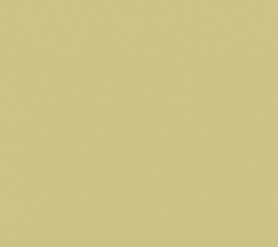 обои Plain AM4 105/1 - 0