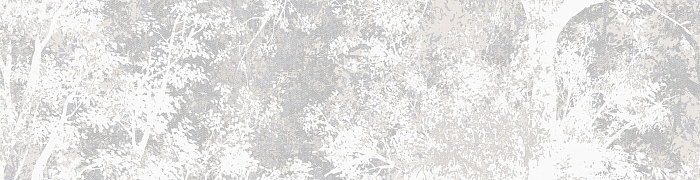 IMG11  001/1
