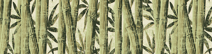 Bamboo Ins7 005/1