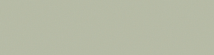 PM13  005