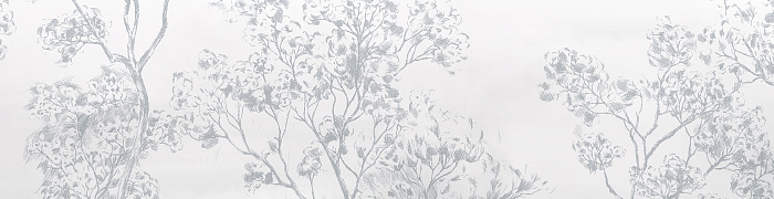 NP14C  002