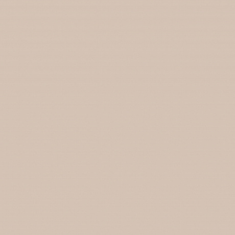 Plain AM4 102/5