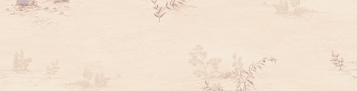 NP6  003