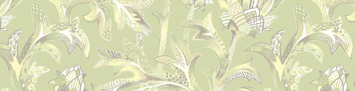 Acanthus Als1 005