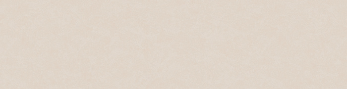 NP11  008
