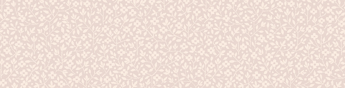 Ice 4  003