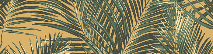Palm Ins3 005/1