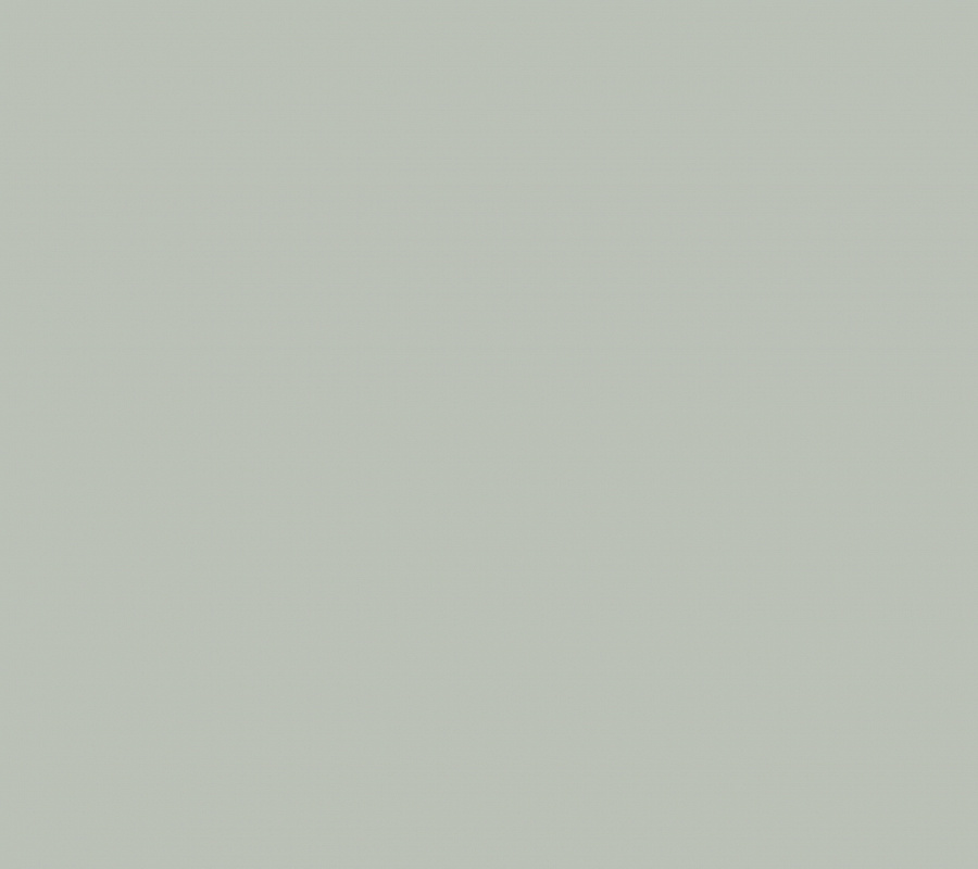 Обои Plain AM3 108/1 - 0