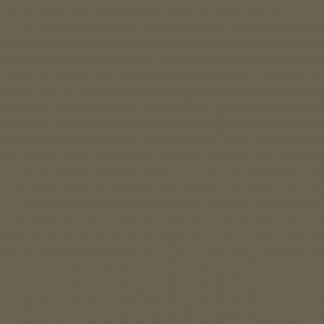 Plain AM4 005/4